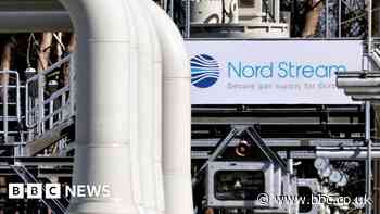 Ukraine war: Germany fears Russia gas cut may become permanent