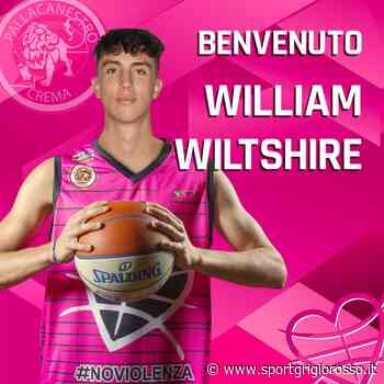 Crema annuncia l'arrivo di Wiltshire, giovane guardia/ala italo-inglese - SportGrigiorosso