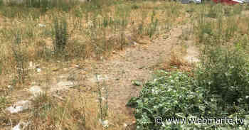 Lentini | Rischio incendi, 25 mila euro per ripulire dalla sterpaglia le aree urbane - www.webmarte.tv