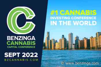From Wall Street To 'Weed Street': Meet Charlotte Hanna, Cannabis Entrepreneur Who Rebels With A Purpose - Benzinga
