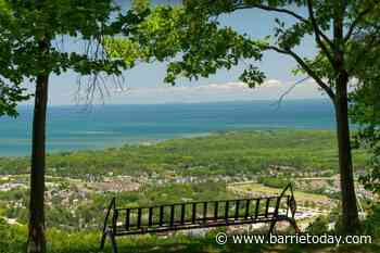 Blue Mountain Resort seeks artist for mountain-top installation - BarrieToday
