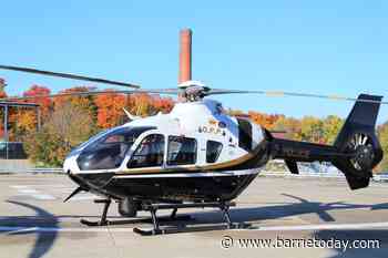 Essa woman, dog rescued after spending night in bush - BarrieToday