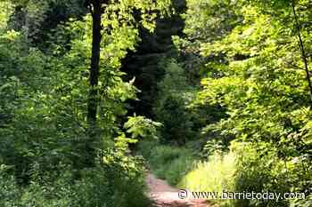 Nine Mile Portage offers walk on the wild side (8 photos) - BarrieToday