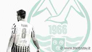 Monopoli, il capitano Marco Piccinni rinnova fino al 2023 - BariToday