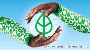 Smarter: Your Tips on How to Live Sustainably - Consumer Reports