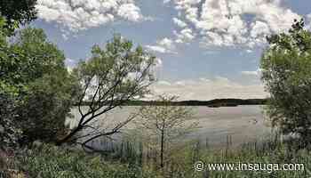 Hamilton awards $5.9M contract for Chedoke Creek remediation | inTheHammer - insauga.com