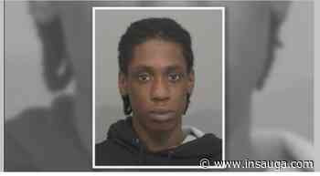 Two accused shooters in Hamilton arrested on drug charges | inTheHammer - insauga.com