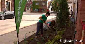 Hamilton’s ‘Depave Paradise’ replacing concrete with green space on Barton Street - Global News