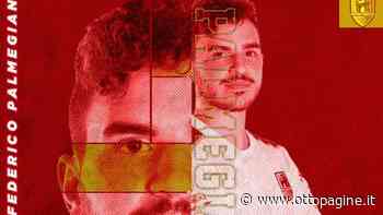 Benevento 5, alla corte di coach Nitti arriva anche Palmegiani - Ottopagine