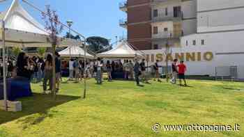 A Benevento oltre cento studenti per la Summer School Unisannio - Ottopagine