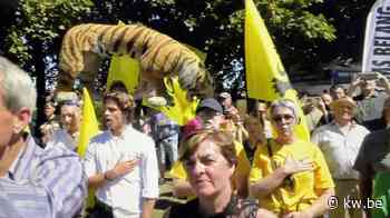 Stand-up comedian neemt tijger mee naar Guldensporenviering in Brugge - KW.be - KW.be