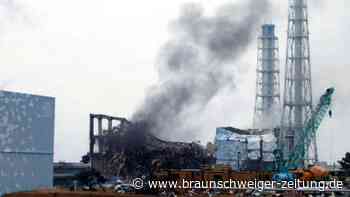 Fukushima-Katastrophe: Manager sollen fast 100 Milliarden Euro zahlen