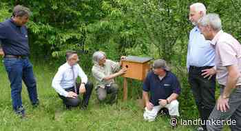 BRUCHSAL | Sparkasse Kraichgau unterstützt NABU Kraichtal bei Wiederansiedelung des Wiedehopfs mit 5.250 Euro | NEWS | Heute - Landfunker