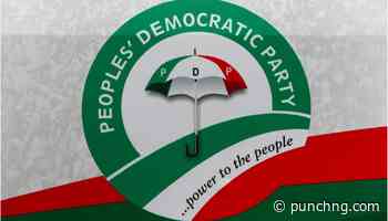 Verify gov ‘candidate’ NYSC certificate – Delta PDP chieftain - Punch Newspapers