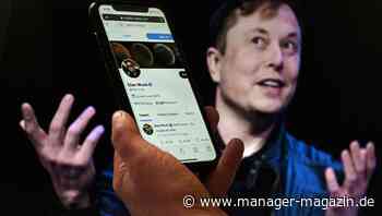 Twitter gegen Elon Musk: Kurznachrichtendienst reicht Klage wegen Übernahmestreit ein und wirft Musk Heuchelei vor