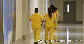 ICE to transport pregnant detainees across state lines to facilitate abortions - Washington Examiner