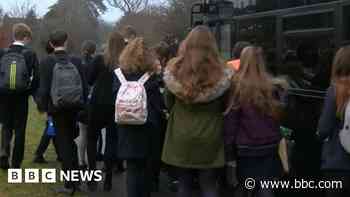 Hampshire home-to-school SEND transport scheme scrapped - BBC