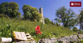 Ravensburg hat zu wenige öffentliche Mülleimer - Schwäbische