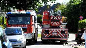 Zur Höhe: Feuerwehr rettet 85-Jährigen nach Leiterunfall in Harrislee - shz.de