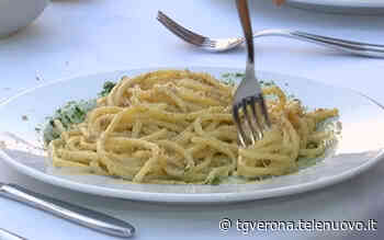 A Castelnuovo del Garda le eccellenze del lago e le tradizioni dei pescatori VIDEO - TG Verona