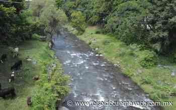 Invitan a ver luciérnagas en el Río Cuautla - El Sol de Cuernavaca