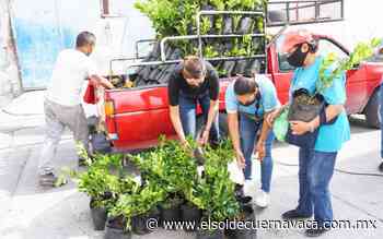 Familias de Jojutla reciben árboles de limón - El Sol de Cuernavaca