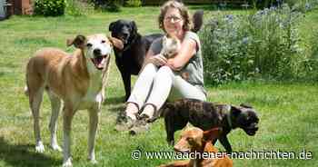 Tierbetreuung in den Ferien: Astrid Webers gibt Hunden in Aachen eine Familie auf Zeit