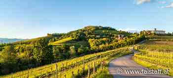 Friaul: Hotspot für Weißweine