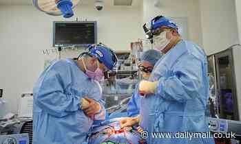 Pig-to-human heart transplants show promise after success in two New York patients