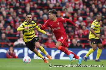 Watford midfielder Louza ruled out after knee surgery