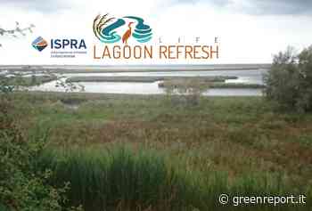 Ispra: la laguna di Venezia non è più mare. Ripristinato l'habitat naturale (VIDEO) - Greenreport: economia ecologica e sviluppo sostenibile