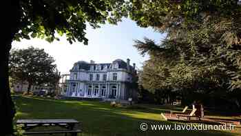 Quatre parcs pour se rafraîchir à l'ombre des arbres à Arras - La Voix du Nord