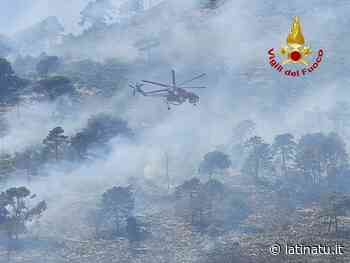 FORMIA: INCENDIO DIVORA 80 ETTARI DI MACCHIA E MINACCIA LE ABITAZIONI. DISASTRO A MONTE DI MOLA - Latina Tu