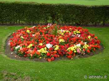 "ADOTTA UN'AIUOLA": COMUNE DI FORMIA PUNTA A COINVOLGERE I CITTADINI - Latina Tu