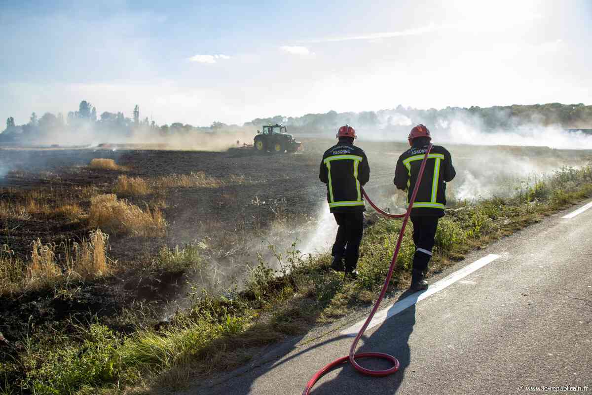 Essonne : 8 hectares de culture brûlés à Marolles-en-Hurepoix - Le Républicain de l'Essonne