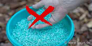 Statt Chemie aus dem Baumarkt: Eigenen Dünger für den Garten herstellen - FOCUS Online