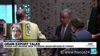 Russia and Ukraine try to solve grain export crisis in Turkey - FRANCE 24 English