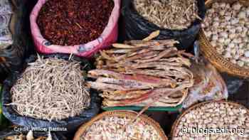 To solve our food problems, we must look to the oceans - Environmental Defense Fund