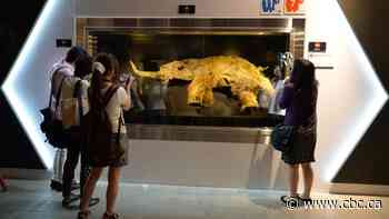 Thawing Arctic will reveal more mummified creatures and bring new risks for those still living