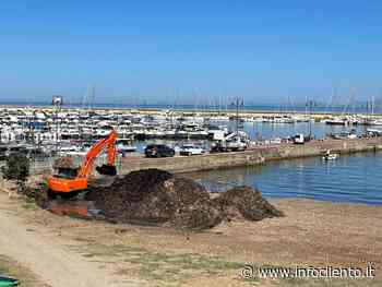 Agropoli, iniziata la rimozione della posidonia - Info Cilento