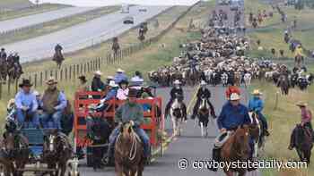 No Cattle Drive To Kick-Off Cheyenne Frontier Days This Year; Will Run Horses Thru Town Instead - Cowboy State Daily
