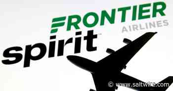 Spirit shareholder Discovery Capital urges board to abandon Frontier deal - Saltwire