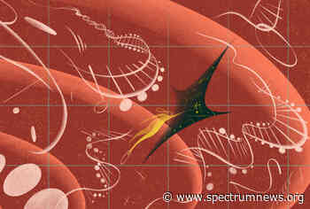 The final frontier: Autism geneticists take on the noncoding genome | Spectrum - Spectrum