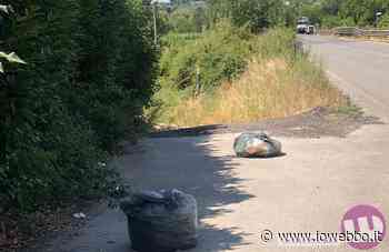 SORA - RIFIUTI ABBANDONATI, 'INDAGA' AMBIENTE E SALUTE - ioWebbo