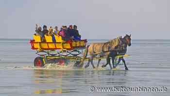 Zwei Verletzte bei Unfall mit Wattwagen bei Cuxhaven - buten un binnen