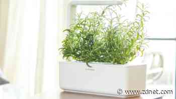 Click & Grow indoor garden is 55% off for Prime Day 2022