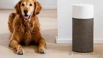 Save $47 on the Blueair air purifier for Prime Day