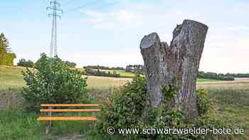 Sulzer Linde: Der Stamm ist "Denkmal genug"