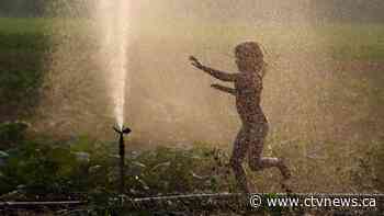 Common-law couples on the rise, Statistics Canada data show