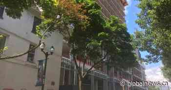 Labour minister visits Hamilton, calls construction worker shortage a ‘top priority’